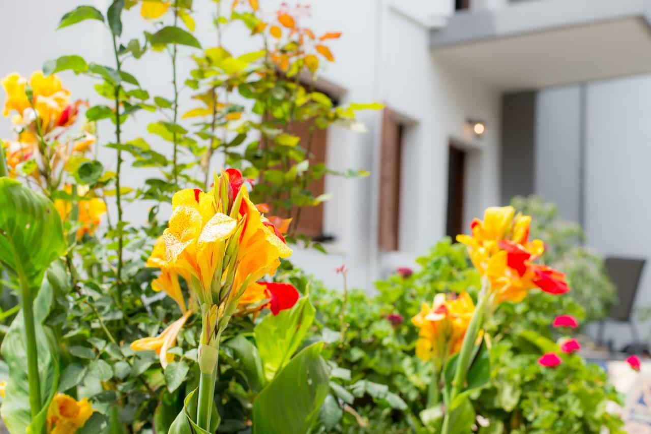 Stellar Apartments I Platanés 外观 照片